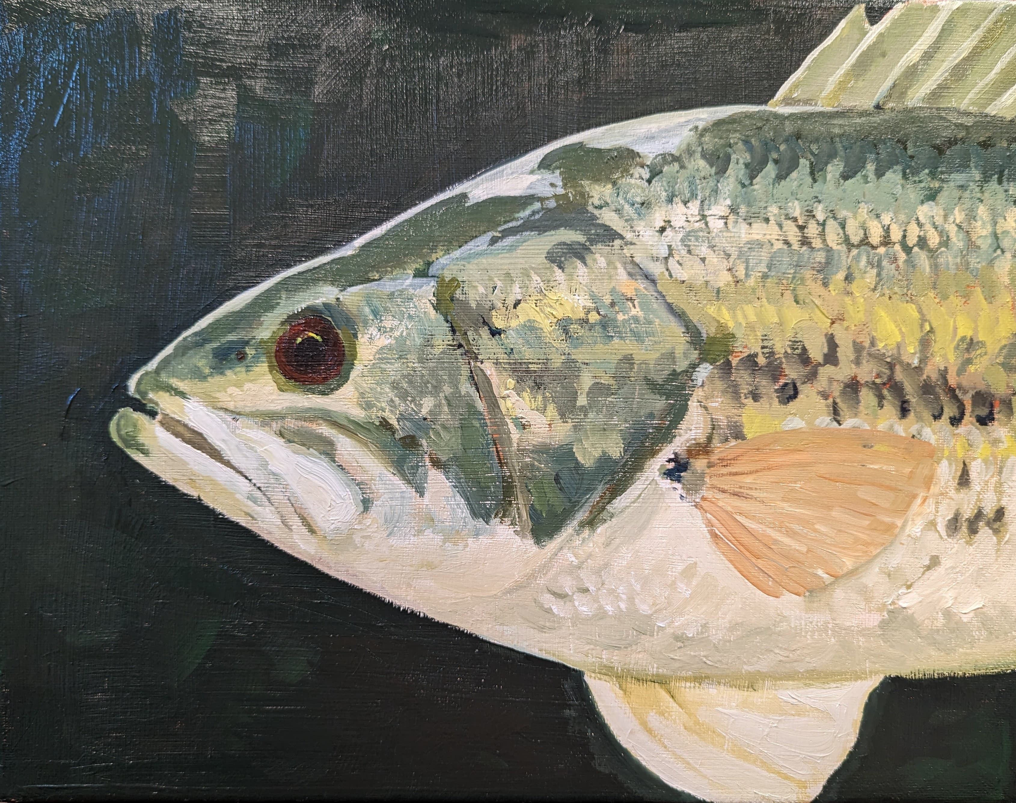 Bass Painting